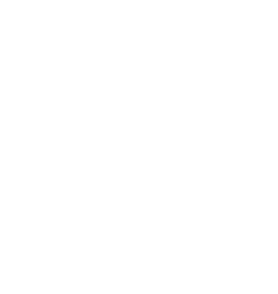 payment